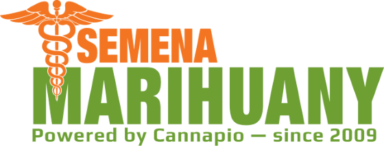 Logo Semena Marihuany